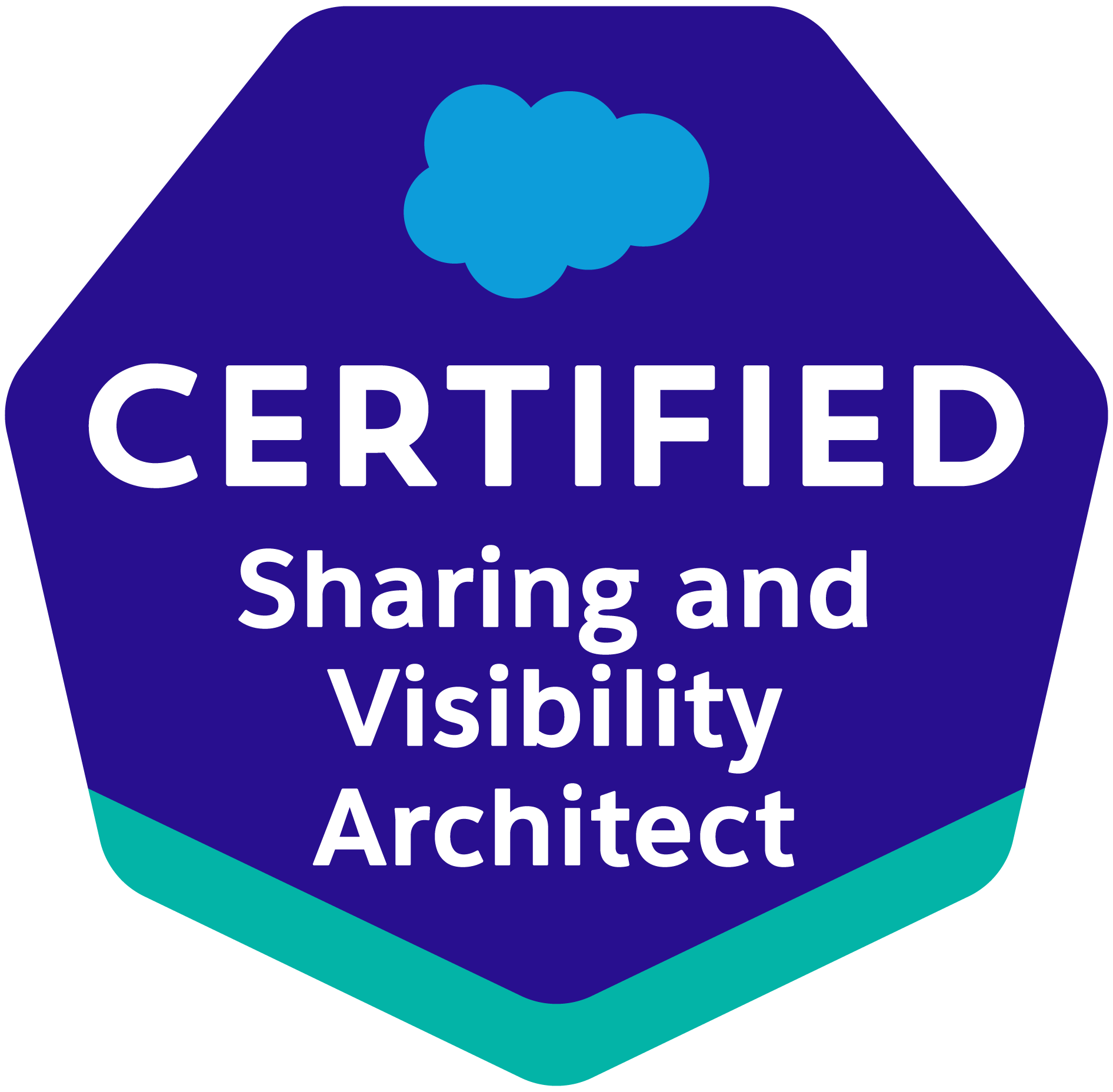 Certified Sharing and Visibility Architect